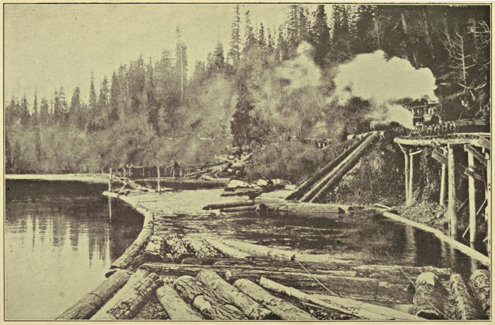 Photograph of logging machinery
by a pine forest and a lake filled with cut logs
