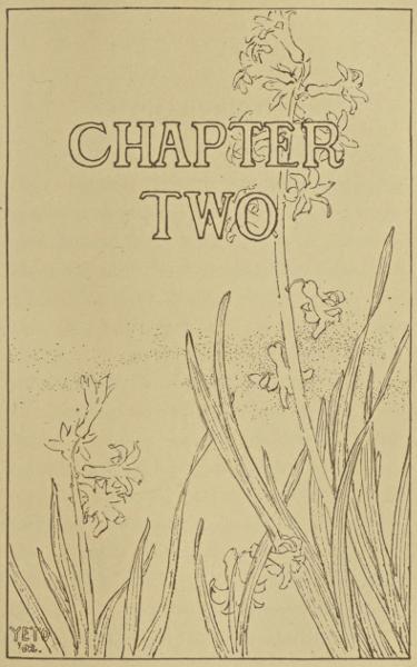 Illustrated chapter heading