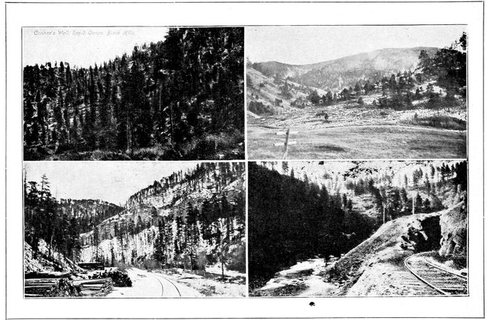 _Corinne’s Wall, Rapid Canyon, Black Hills_