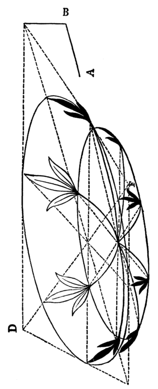 [Geometric diagram]