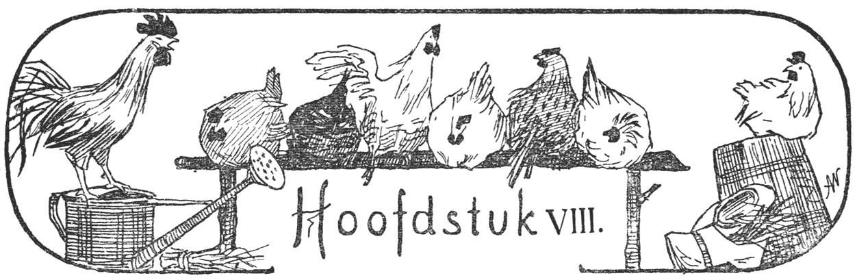 Hoofdstuk VIII.