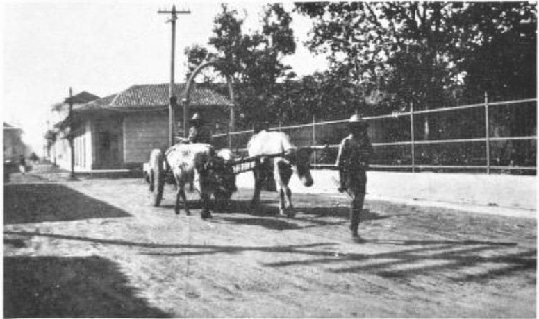 THE AMERICAN INTERVENTION HAD BROUGHT PEACE, BUT MANAGUA’S
DUSTY STREETS SUGGESTED NO PROSPERITY