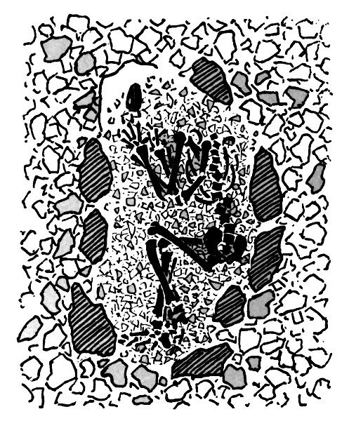 Plan of Burial at Thirkelow