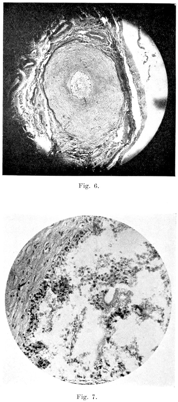 Fig. 6. Fig. 7.