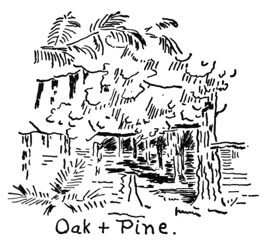 Oak + Pine.