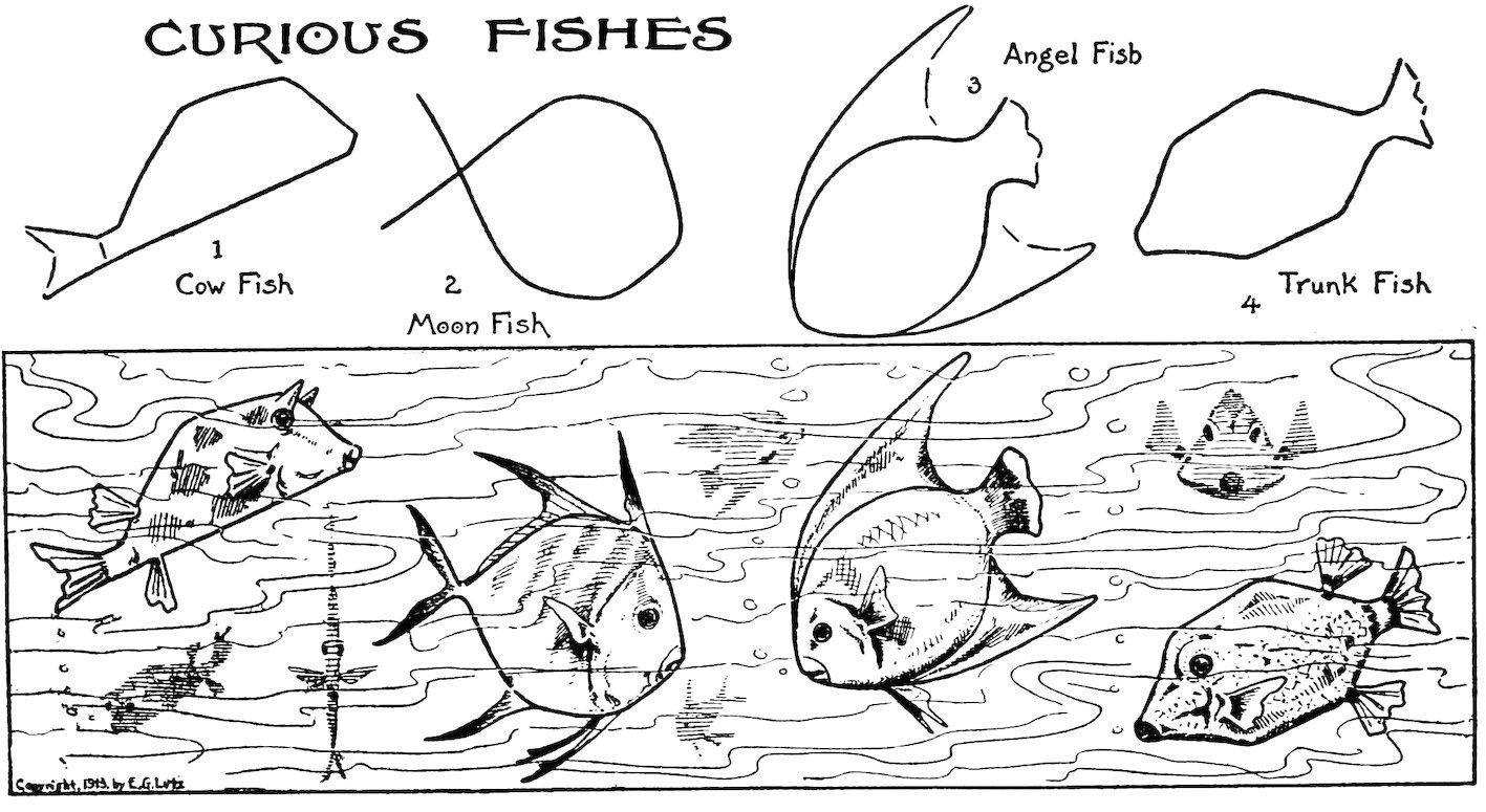 CURIOUS FISHES 1 Cow Fish 2 Moon Fish 3 Angel Fish 4 Trunk Fish