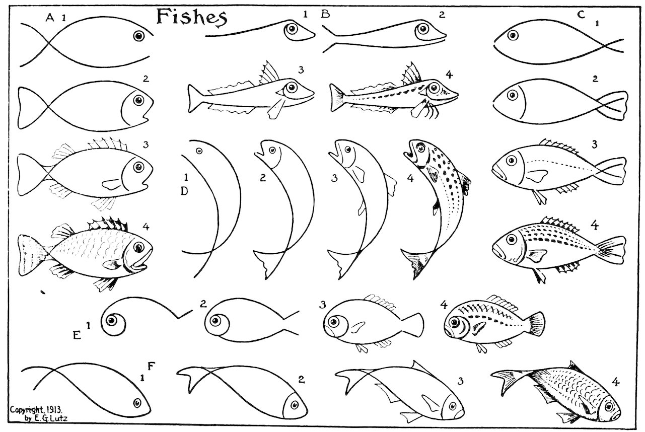 Fishes