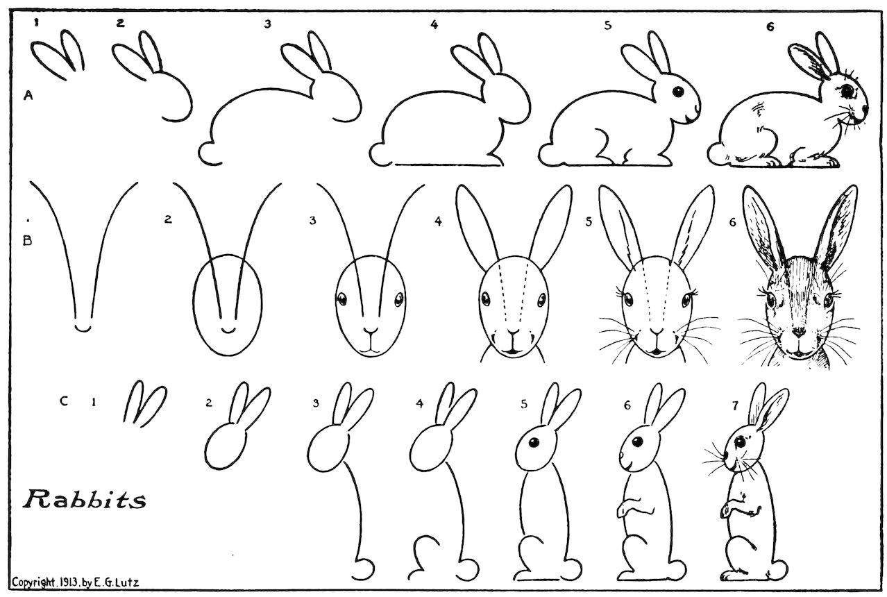 Rabbits