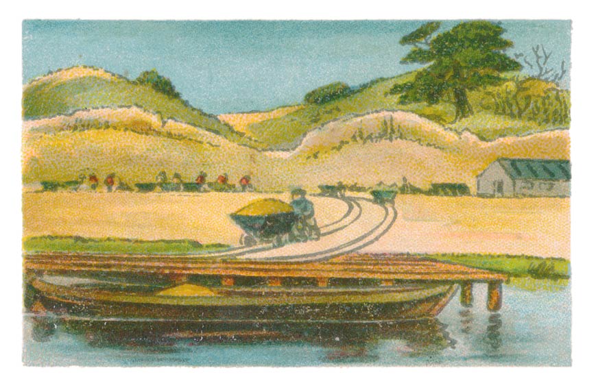 26
