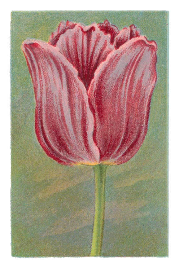 53