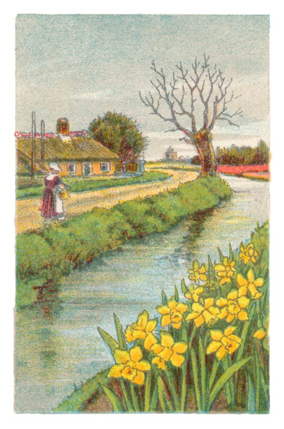 71