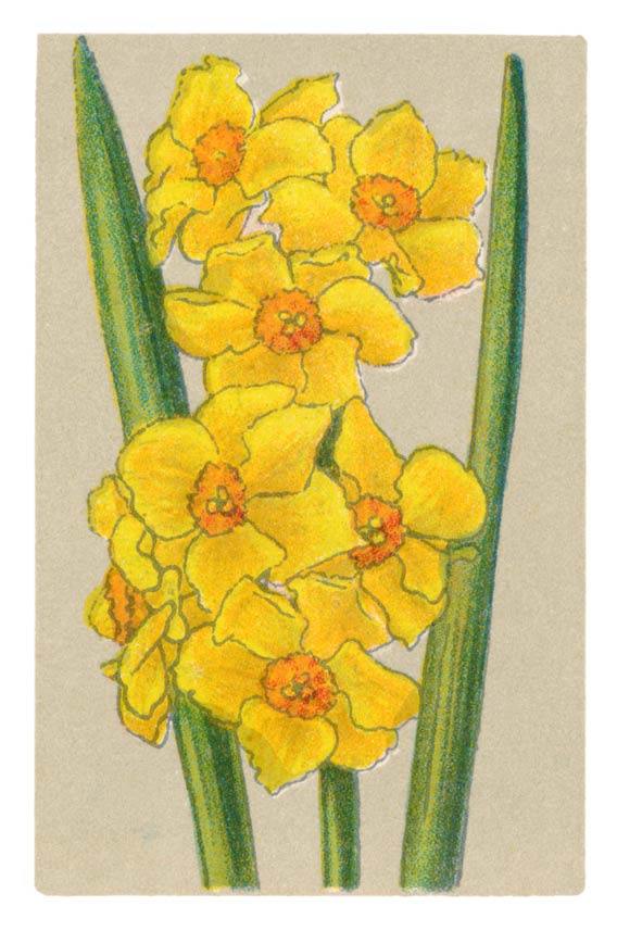 77