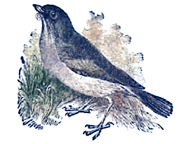 image020