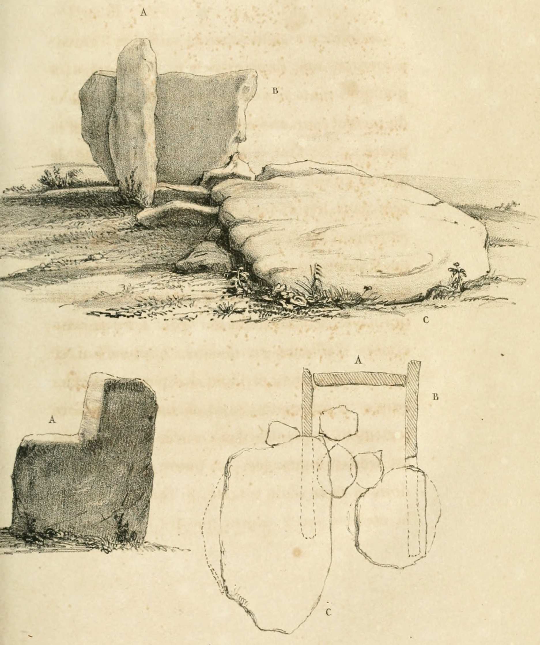 Stazzona du TARAVO

Page 16

